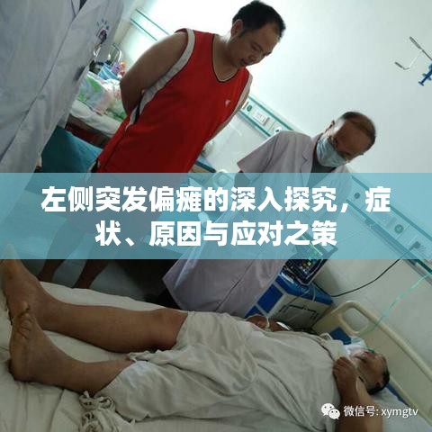 左侧突发偏瘫的深入探究，症状、原因与应对之策