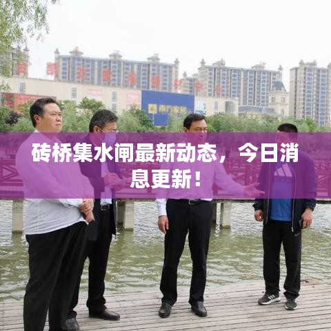 砖桥集水闸最新动态，今日消息更新！