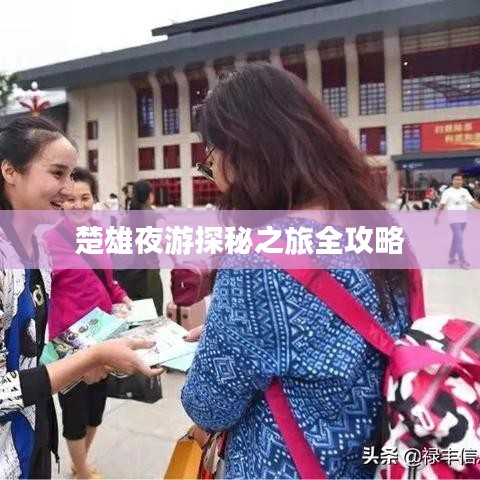 蚁出蚋飞