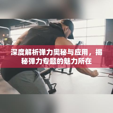 深度解析弹力奥秘与应用，揭秘弹力专题的魅力所在