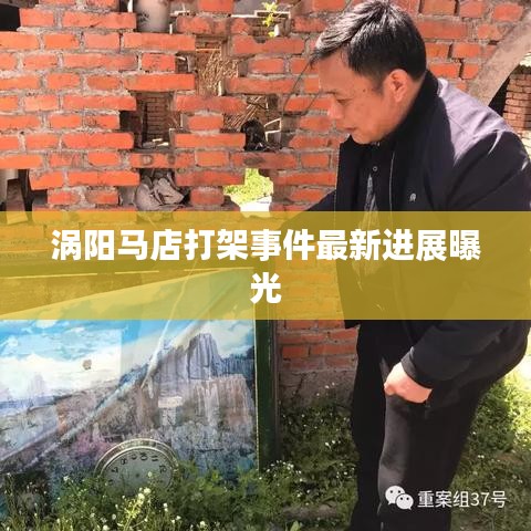 下马看花