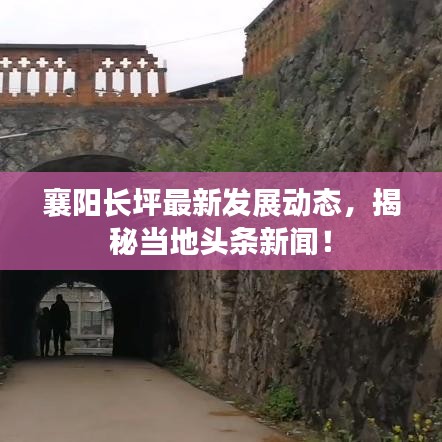 不知所云