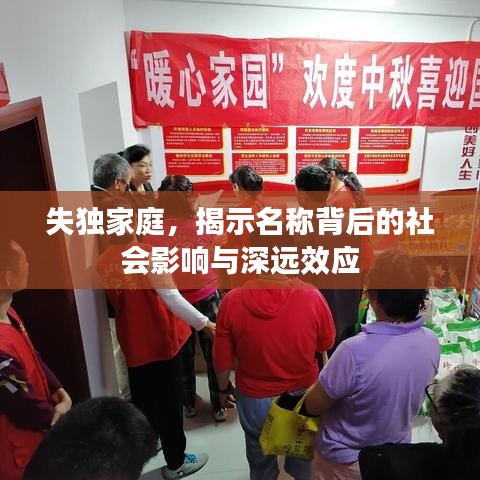 失独家庭，揭示名称背后的社会影响与深远效应