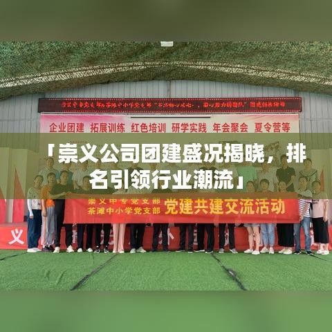 「崇义公司团建盛况揭晓，排名引领行业潮流」