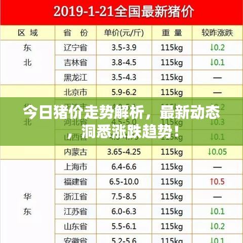 今日猪价走势解析，最新动态，洞悉涨跌趋势！
