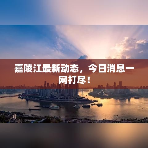 嘉陵江最新动态，今日消息一网打尽！