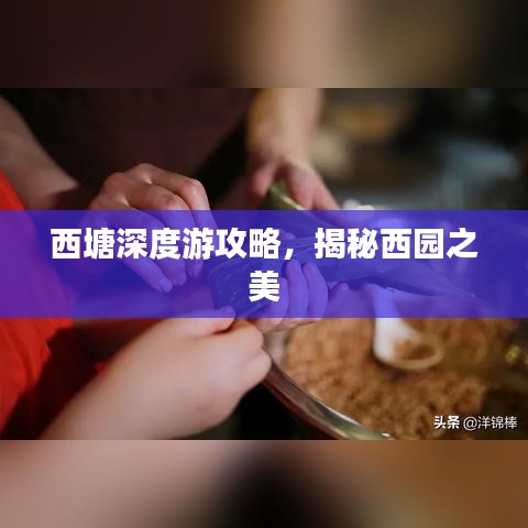 西塘深度游攻略，揭秘西园之美
