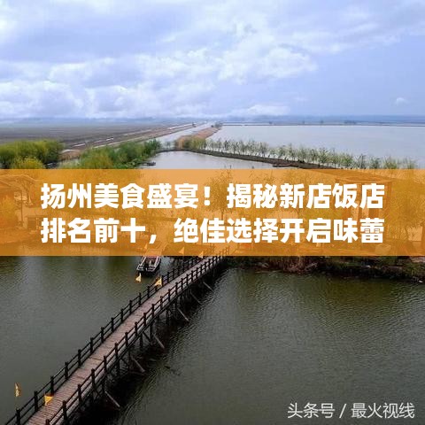 扬州美食盛宴！揭秘新店饭店排名前十，绝佳选择开启味蕾之旅