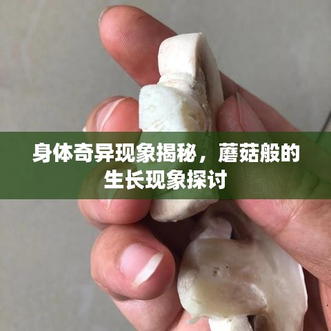 身体奇异现象揭秘，蘑菇般的生长现象探讨