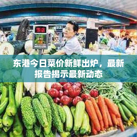 东港今日菜价新鲜出炉，最新报告揭示最新动态