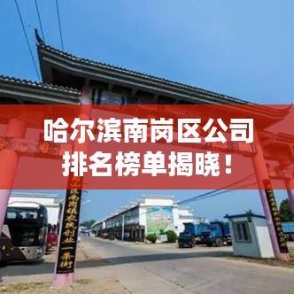 哈尔滨南岗区公司排名榜单揭晓！