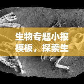 生物专题小报模板，探索生命科学的奥秘与魅力