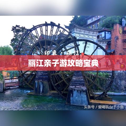 丽江亲子游攻略宝典