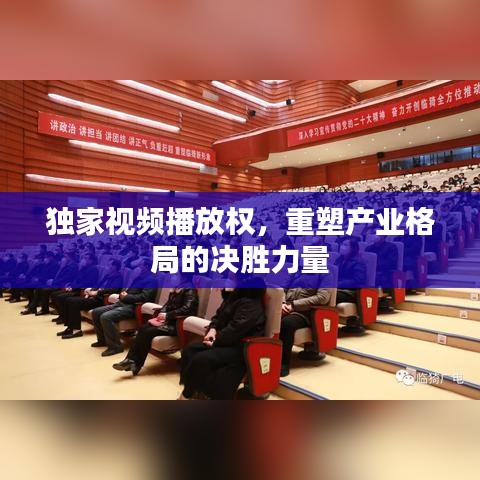 独家视频播放权，重塑产业格局的决胜力量