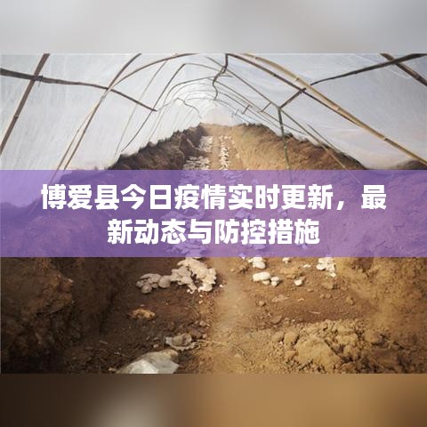 博爱县今日疫情实时更新，最新动态与防控措施
