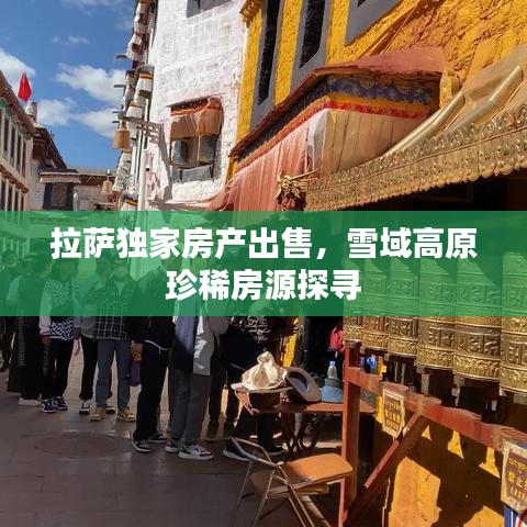 拉萨独家房产出售，雪域高原珍稀房源探寻