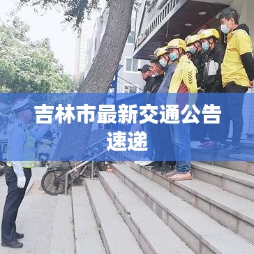 花开无言