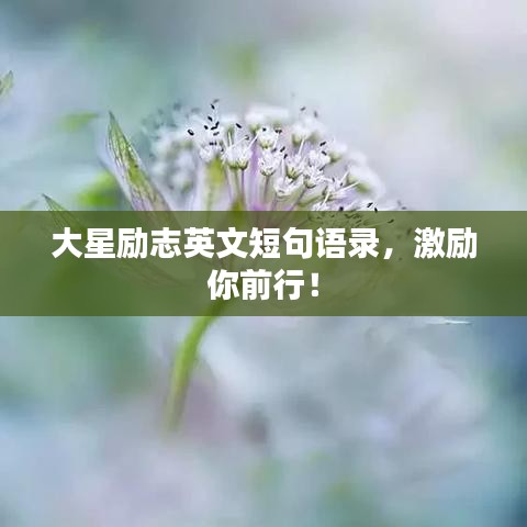 大星励志英文短句语录，激励你前行！
