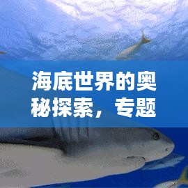 德才兼备