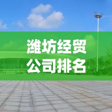 潍坊经贸公司排名大揭秘，谁是行业领军者？