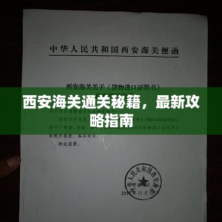 西安海关通关秘籍，最新攻略指南
