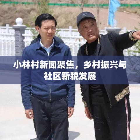 小林村新闻聚焦，乡村振兴与社区新貌发展