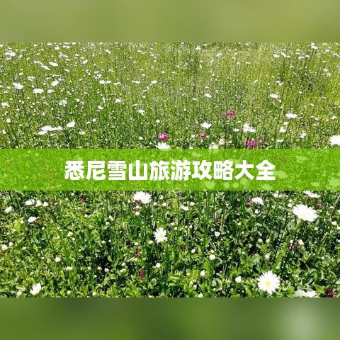 首鼠两端