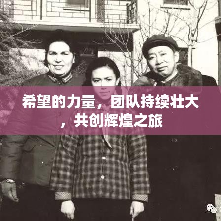 在线留言 第6页