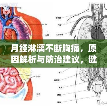 月经淋漓不断胸痛，原因解析与防治建议，健康必读！