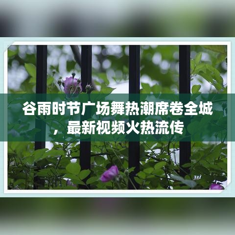 谷雨时节广场舞热潮席卷全城，最新视频火热流传