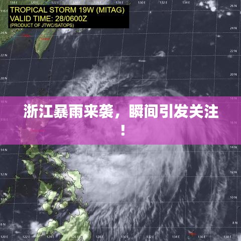 飞蛾扑火