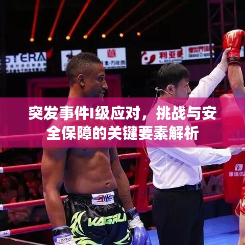 突发事件I级应对，挑战与安全保障的关键要素解析