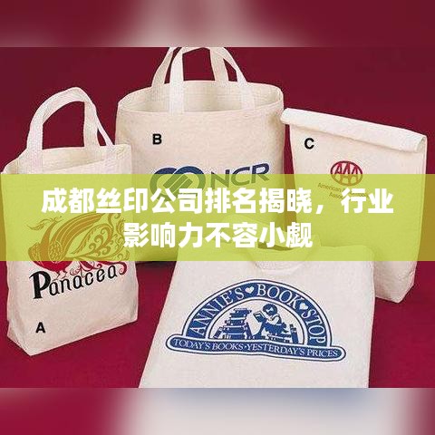 成都丝印公司排名揭晓，行业影响力不容小觑