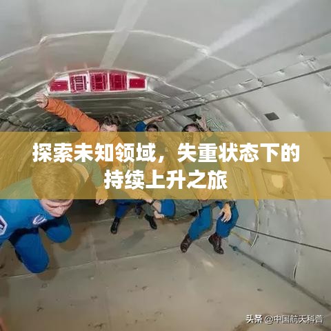 鸟入樊笼