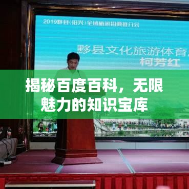 揭秘百度百科，无限魅力的知识宝库
