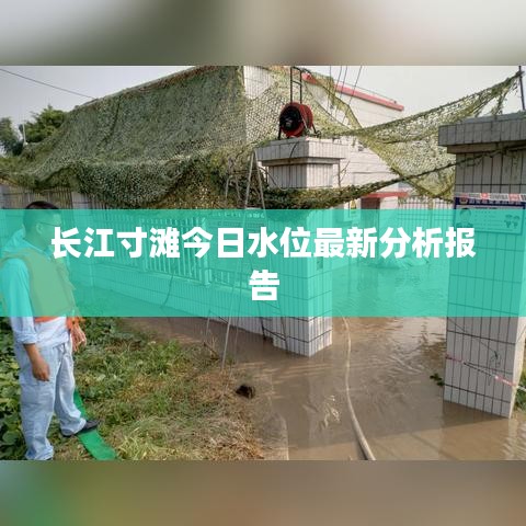 长江寸滩今日水位最新分析报告