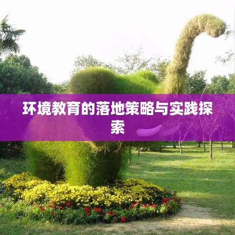 环境教育的落地策略与实践探索