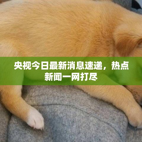 央视今日最新消息速递，热点新闻一网打尽