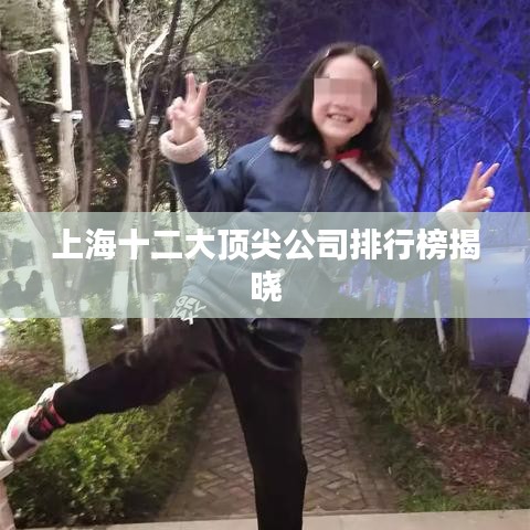 上海十二大顶尖公司排行榜揭晓