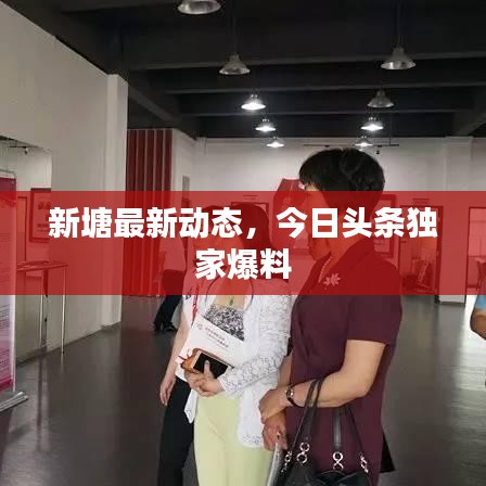 新塘最新动态，今日头条独家爆料