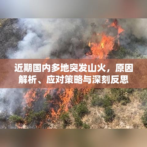 近期国内多地突发山火，原因解析、应对策略与深刻反思