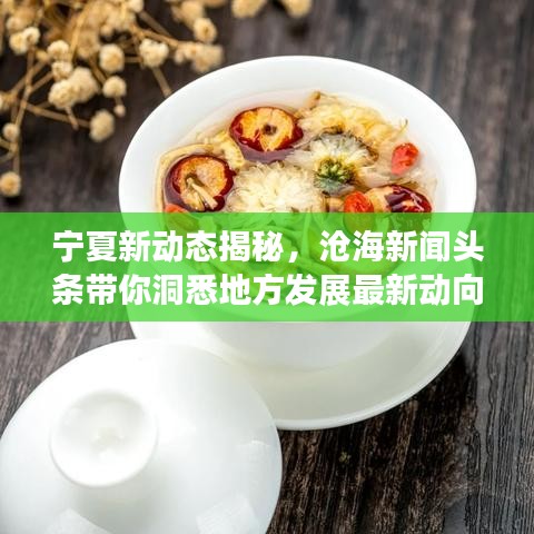 宁夏新动态揭秘，沧海新闻头条带你洞悉地方发展最新动向