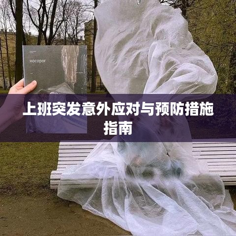 上班突发意外应对与预防措施指南
