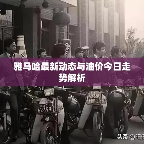 雅马哈最新动态与油价今日走势解析