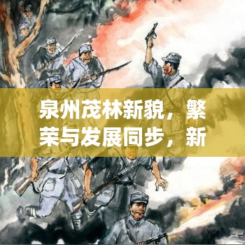 泉州茂林新貌，繁荣与发展同步，新闻头条聚焦茂林新景象