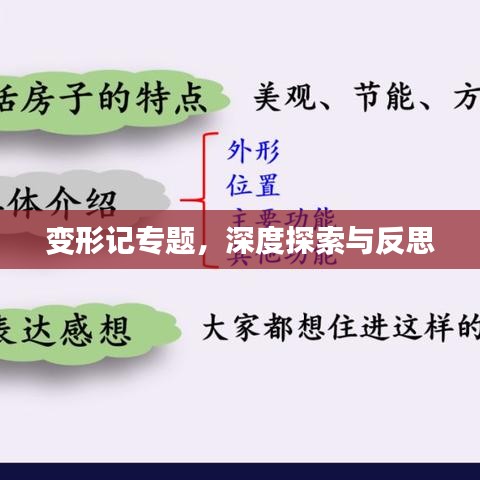 变形记专题，深度探索与反思