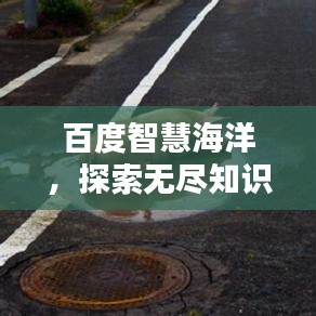 百度智慧海洋，探索无尽知识，领略包容之大的智慧世界