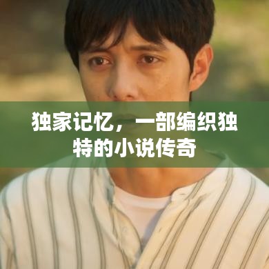 独家记忆，一部编织独特的小说传奇