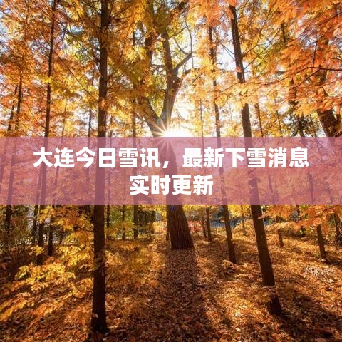 大连今日雪讯，最新下雪消息实时更新