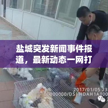 张骞乘槎